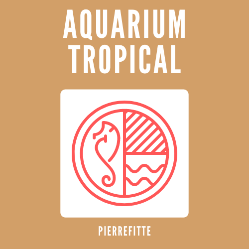 Aquarium tropical pierrefitte