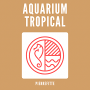 (c) Aquarium-tropical-pierrefitte.com